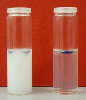 Cellulose-fibrils-microbial-degradation-image1