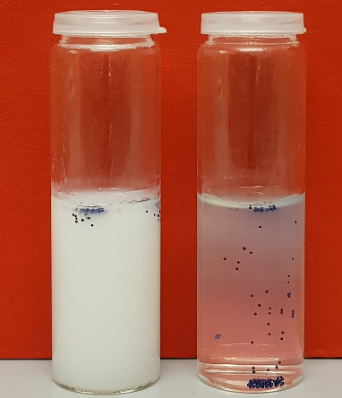 Cellulose-fibrils-microbial-degradation-image2