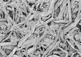 cellulose_fibers-1